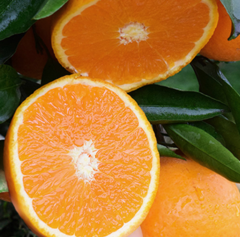 四川青见5斤果冻橙子滑嫩多汁现摘柑橘子新鲜脐橙口感产地直发