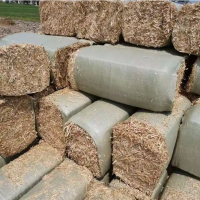 秸秆饲料 玉米秸秆