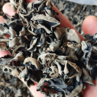 新货 东北黑木耳500g 现货 批发 木耳 云儿 散装 食用